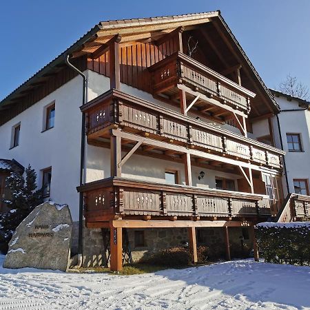 Haus Haidweg - Ferienwohnungen In Haidmuehle Im Dreilaendereck De-Cz-At المظهر الخارجي الصورة