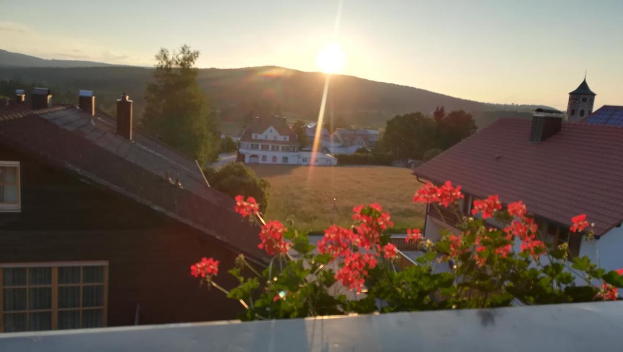 Haus Haidweg - Ferienwohnungen In Haidmuehle Im Dreilaendereck De-Cz-At المظهر الخارجي الصورة