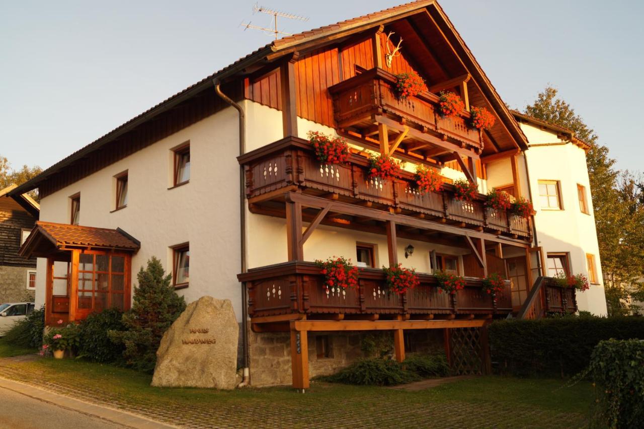 Haus Haidweg - Ferienwohnungen In Haidmuehle Im Dreilaendereck De-Cz-At المظهر الخارجي الصورة